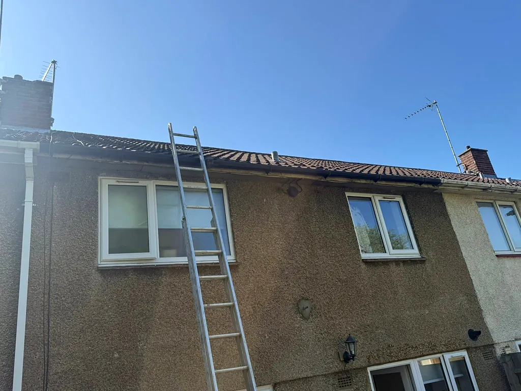 Gutter and downpipe